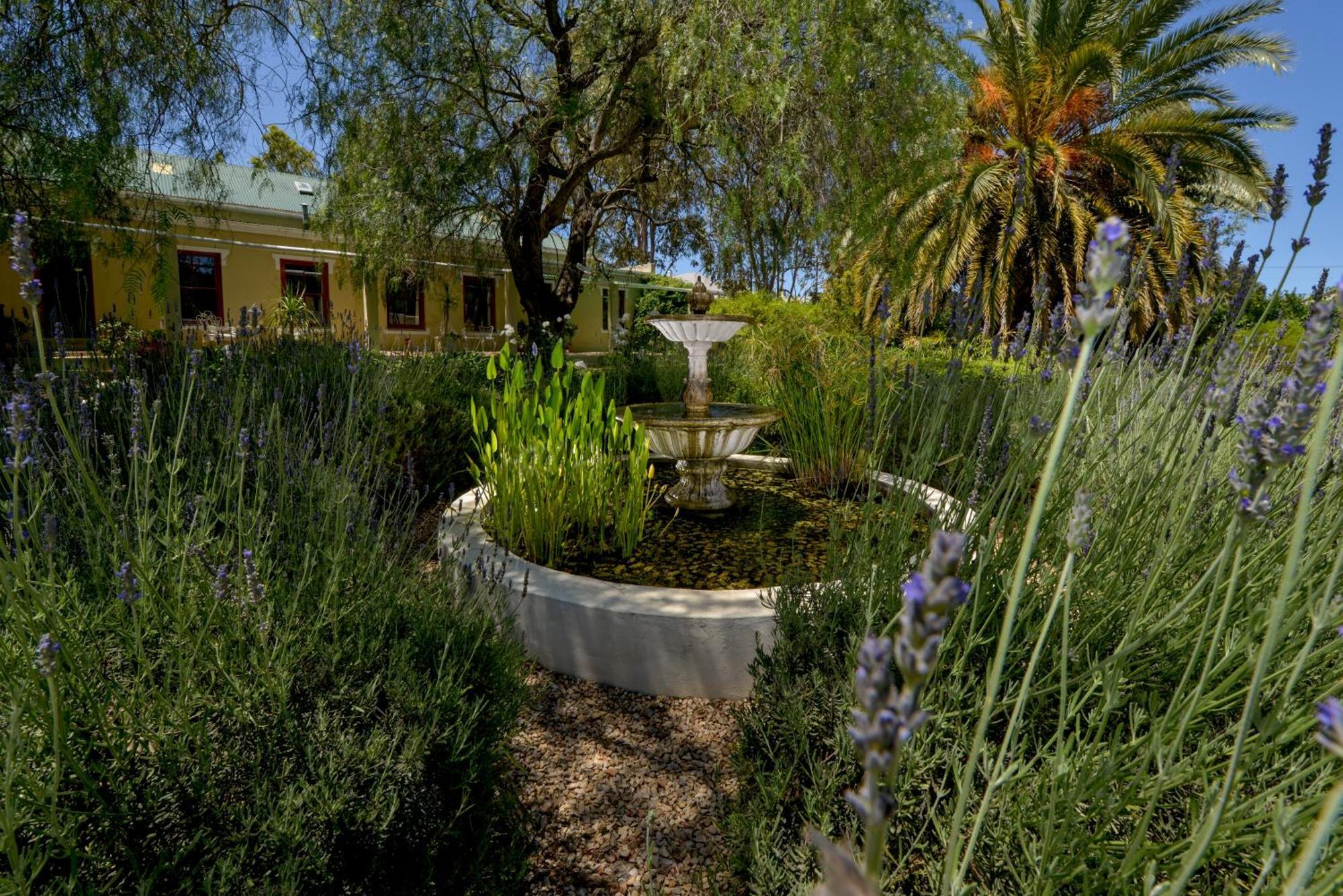 Darling Lodge Guest House Dış mekan fotoğraf